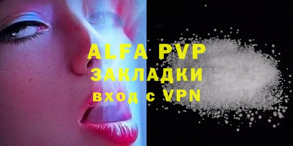 стафф Арсеньев