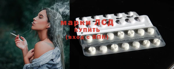 стафф Арсеньев