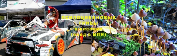 ПСИЛОЦИБИНОВЫЕ ГРИБЫ Аркадак