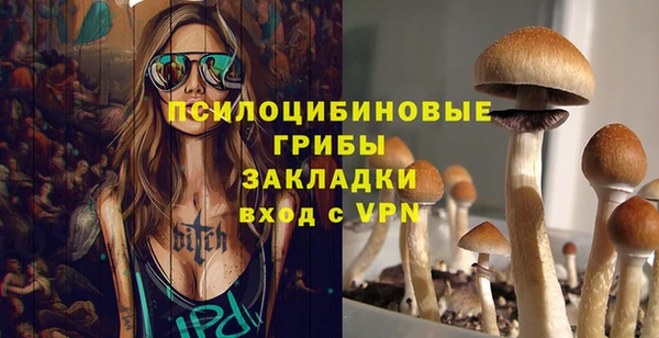 ПСИЛОЦИБИНОВЫЕ ГРИБЫ Аркадак