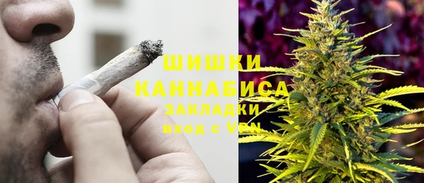 ПСИЛОЦИБИНОВЫЕ ГРИБЫ Аркадак