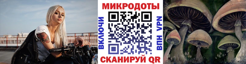 Галлюциногенные грибы мицелий  Купить закладки  Кропоткин 